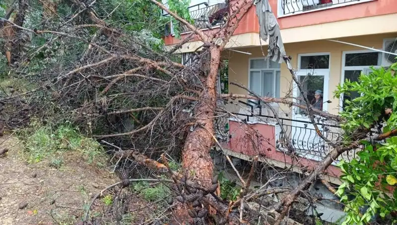Yağmurun Gücü: Bina Çöktü, Etrafta Şok Etti!