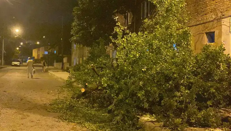 Karabük'te Şiddetli Fırtına: Kentteki Hasar ve Önlemler