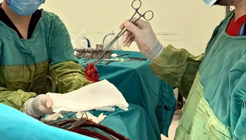 7 Saatlik Ameliyatla Kalp Kapağındaki Çürümeye Son Verildi!