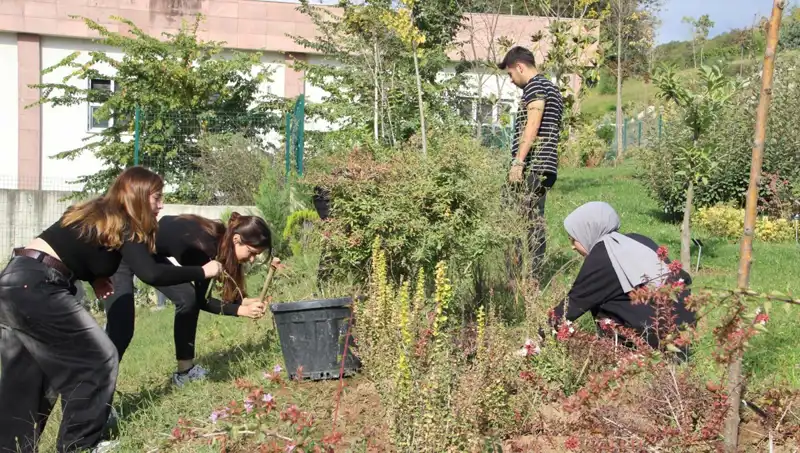 Düzce'nin Yerel İncisi: Hayal Olan Başarı Global Arenada Gerçek Oldu