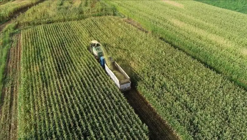 2025 Mart Ayı Mazot ve Gübre Desteği Ödemeleri Hakkında Son Durum