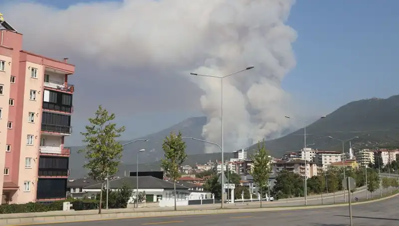 Denizli'de Orman Yangını: Şüpheli Gözaltında, İtfaiye Ekipleri Alarmda!