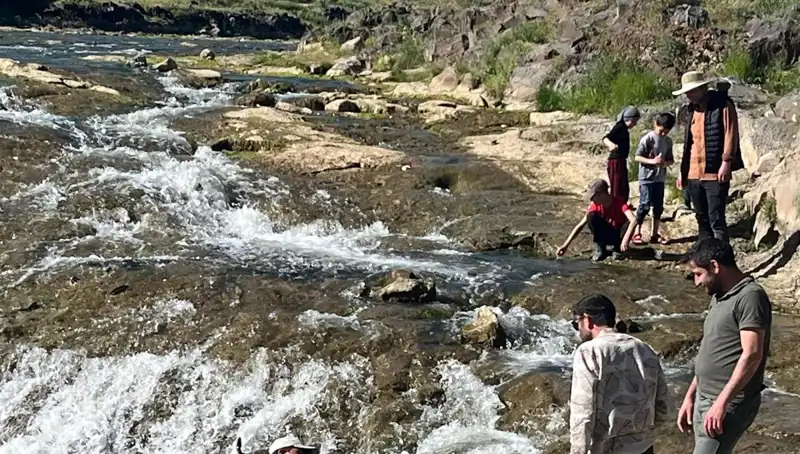 İnci Kefali Göçü: Doğanın Mucizesi, Turistlerin Gözdesi Oldu