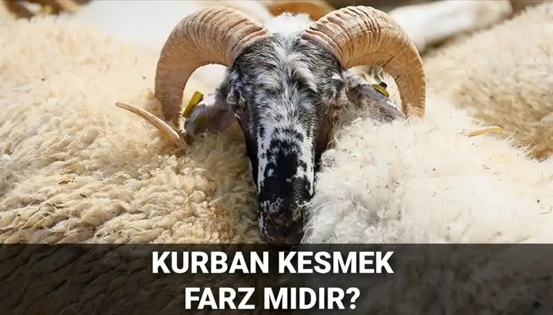 Kurban Kesmek Farz mı? Diyanet’in Açıklamaları ve Şartları