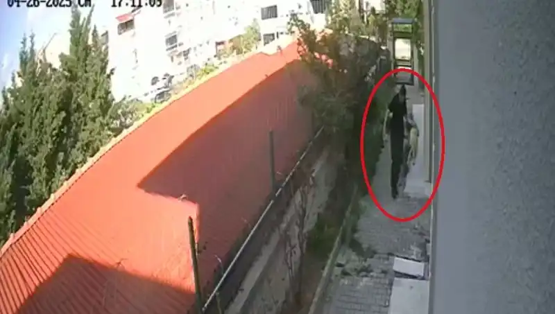 Veteriner Doktorun Şok Edici Suçu: Sahiplendiği Köpekleri Evde Parçaladı