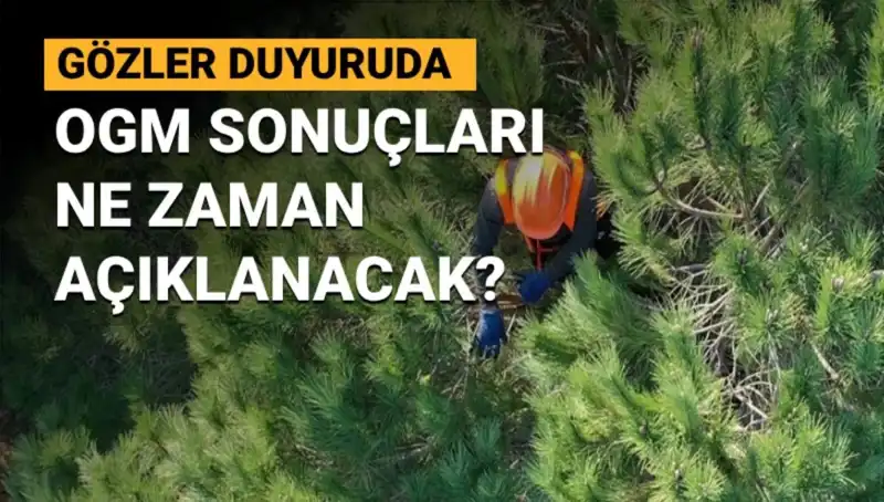 OGM Personel Alımı Sonuçları Merakla Bekleniyor: 3 Bin 477 Pozisyona Kimler Başvurdu?