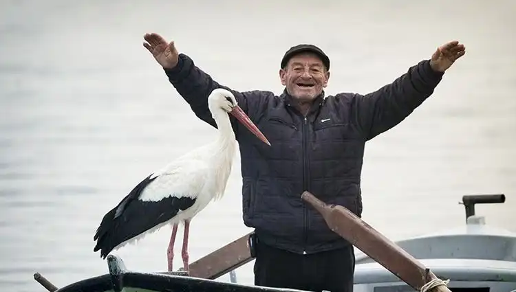 Yaren Leylek: Doğanın Mucizesi Canlı Yayında İzleniyor!