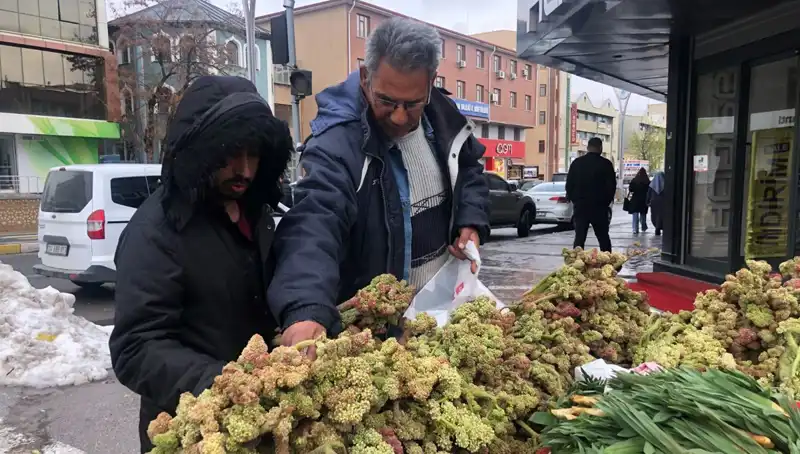 Kendiliğinden Yetişen Bu Bitki, Kanserle Savaşta Umut Oluyor!