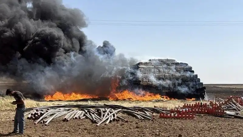 Mardin'de Anız Yangını Tarlalarda Korku Dolasıyla Yayıldı!