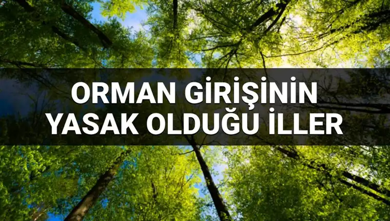 2025'te Ormana Girişin Yasaklandığı İller: Detaylı Liste ve Açıklamalar
