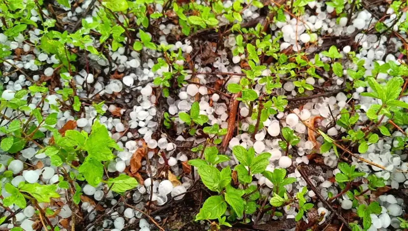 Temmuz Ortasında Yağmur Yerini Doluya Bıraktı: Tarımdaki Etkileri Neler?