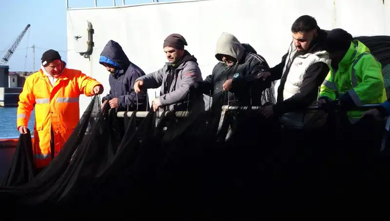 Denizlerde Hamsi Sıkıntısı Yaşanıyor: Balıkçılar Erken Tatile Çıkmak Zorunda Kaldı