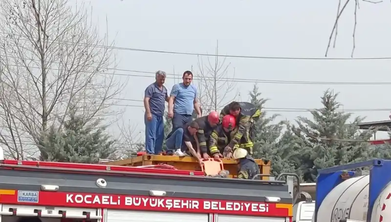Tehlikeli Madde Yüklü TIR, Dereye Düşerek Faciaya Neden Oluyor!