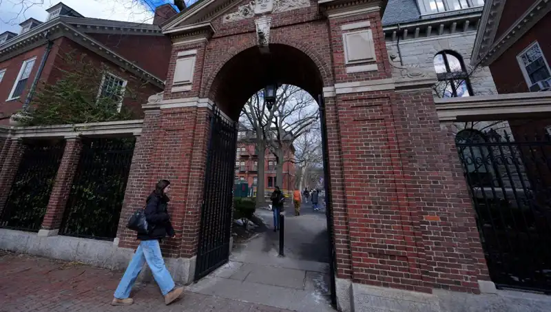 Harvard Profesörleri, Trump Yönetimine Karşı Dava Açtı: Yasal Süreç Başladı