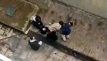Kampüs Hayvanları Üzerinde Şok! Köpek Panik Yaratınca Düşme Olayı