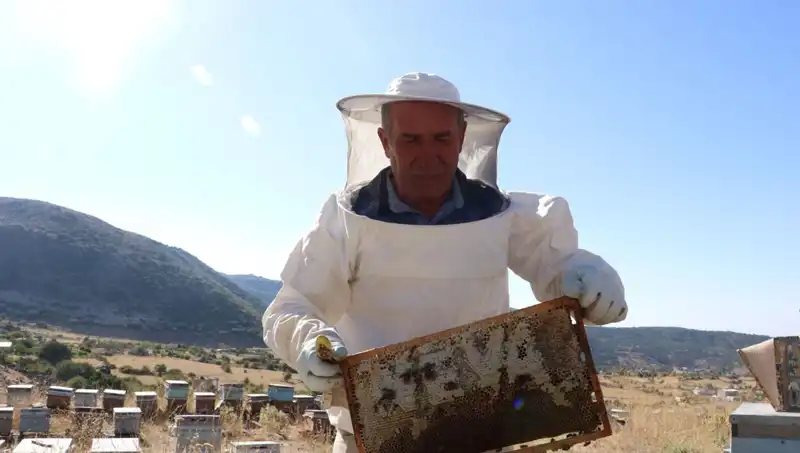 Mobilya İşini Bıraktı, Dönüşümle 2 Ton Üretti: Nasıl Başardı?