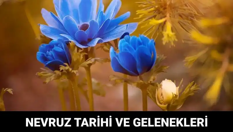 Nevruz Bayramı: Tarihçesi, Gelenekleri ve Kutlama Şekilleri